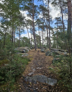 Balade en forêt d’Ermenonville et histoire d'abbayes - NATHALIE - 2