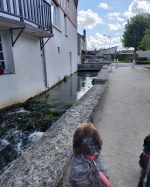Balade dans les Coteaux - Nathalie - 10