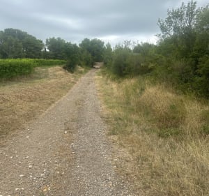 Une petite rando sur Réals - Cessenon-sur-Orb - 3