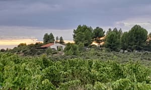 Pédaler jusqu'au 7ème ciel vers la montagne de la Moure - Jean-Marie - 5