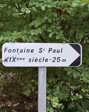Circuit dans la forêt de Méridon - Chevreuse - 7
