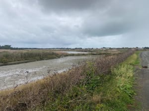 Rando à Noirmoutier - Laurence - 2