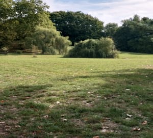 Balade ou parcours sportif à Évry-Courcouronnes - Frédéric - 6