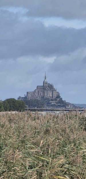 Moulin de Moidrey et le Mont Saint-Michel - appourchaux - 6