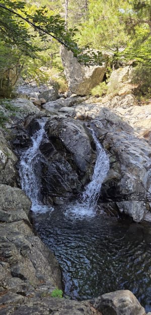 Het Vizzavona-bos en zijn weelderige Engelse waterval - Nathan - 5