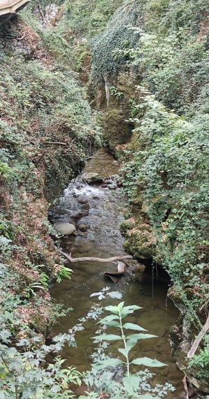 Petite balade dans les gorges du Sierroz - VERONIQUE - 3