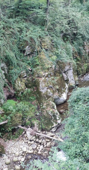 Petite balade dans les gorges du Sierroz - VERONIQUE - 6