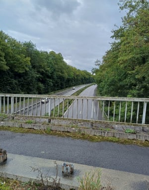 Belle balade en forêt de l’Isle-Adam - Samuel - 4