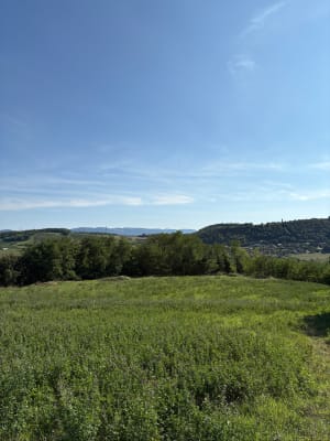 Petite balade dans les vignes de Chessy - Florian - 7