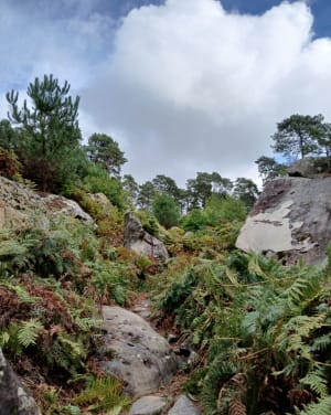 Le long rocher - David - 6
