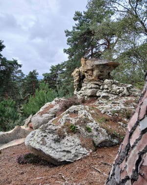 Le long rocher - David - 7