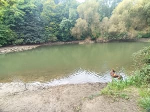 Rives de sarthe - Margot - 8