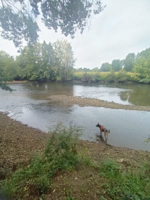 Rives de sarthe - Margot - 9