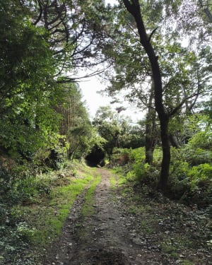 Entre Raguenez et Kerliou - GUY - 9
