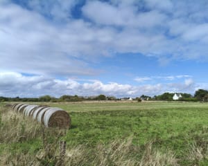 Entre Raguenez et Kerliou - GUY - 10