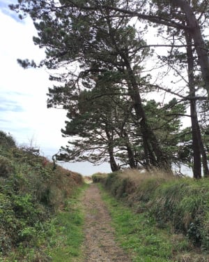 Entre Raguenez et Kerliou - GUY - 12