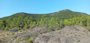 Les Canyons Gris de Quissac - LISETTE - 4