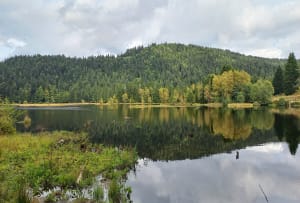 Balade tranquille au Lac de Luspach - Stéphane - 7