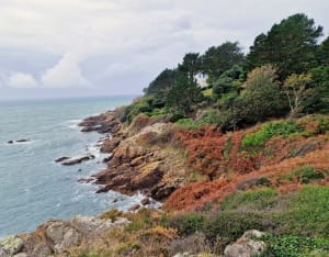 Sentier côtier port Manec'h - Gisele - 7