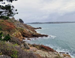 Sentier côtier port Manec'h - Gisele - 6