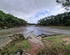 Sentier côtier port Manec'h - Gisele - 9