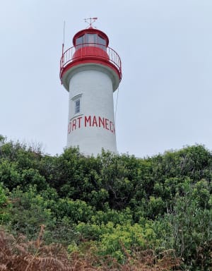 Sentier côtier port Manec'h - Gisele - 11