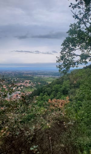 Sentier des Apages - Enval - 8