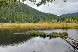 Balade tranquille au Lac de Luspach - Stéphane - 9