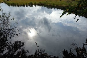 Balade tranquille au Lac de Luspach - Stéphane - 8