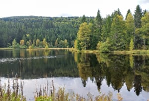 Balade tranquille au Lac de Luspach - Stéphane - 10