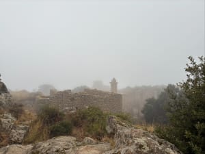 Ruines d’Occi - Thierry - 10