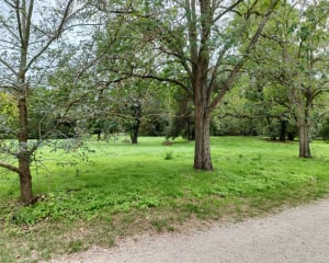 Parc des quinze sols - Beauzelle - 4