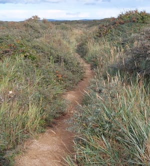 Balade entre Batterie de Merville et réserve naturelle de Franceville - Karl - 10