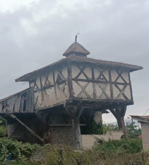 Balade entre monuments et nature - Matthieu - 6