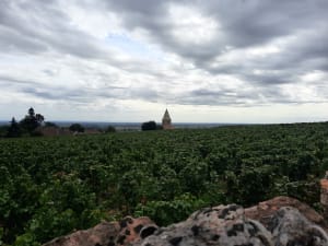 Les hauts de la Combe de Fixey et Combe Laveau - Bea - 7