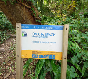 Entre forêt, campagne et mer à Colleville-sur-Mer - Colleville-sur-Mer - 3