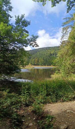 Lispach Lake Tour - Sylvia - 2