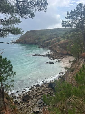 Petit tour du cap de la chèvre - Crozon - 24