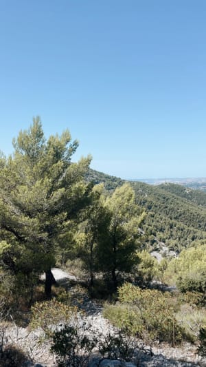 Immanquable randonnée à La Penne-sur-Huveaune - La Penne-sur-Huveaune - 2