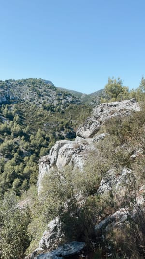 Immanquable randonnée à La Penne-sur-Huveaune - La Penne-sur-Huveaune - 3