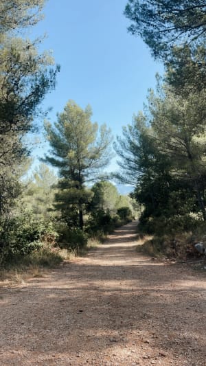 Immanquable randonnée à La Penne-sur-Huveaune - La Penne-sur-Huveaune - 4