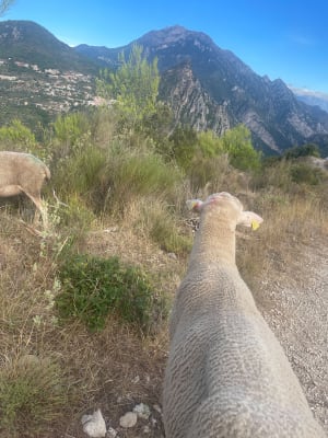 Rando au Mont Arpasse - wen - 5