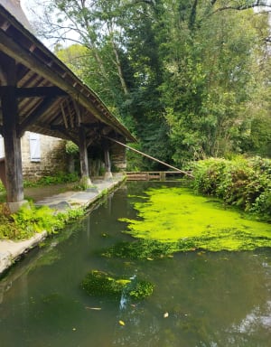 Rochefort en Terre - Rochefort-en-Terre - 5