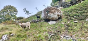 Sortir sur La Roche Maurice - Corinne - 8