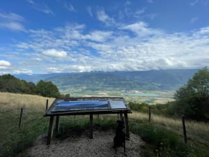 Sous-bois et panorama à Sainte-Marie-du-Mont - Sainte-Marie-du-Mont - 7