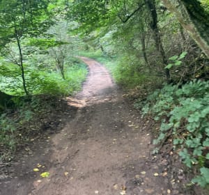 Boucle entre le Val d’Oeting et le mont du Wiesberg - Œting - 3