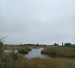 De moerassen van zout - Cath - 11