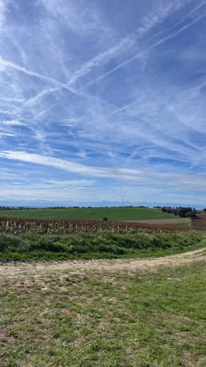Sur les hauteurs d'Estantens à Muret - Marion - 8