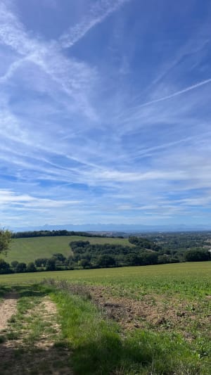 Sur les hauteurs d'Estantens à Muret - Marion - 9