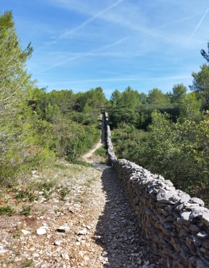 Le mur de la peste dans les hauteurs de Cabrieres d'Avignon - Anaïs - 5